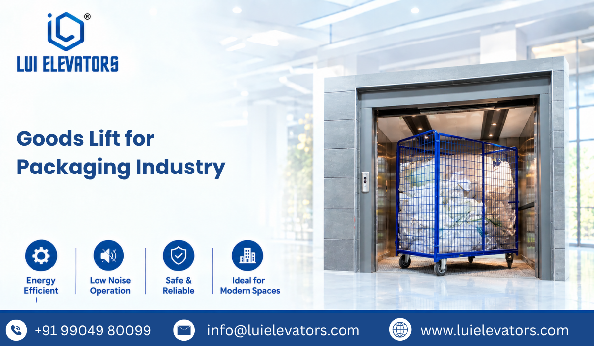 Goods Lift for Packaging Industry